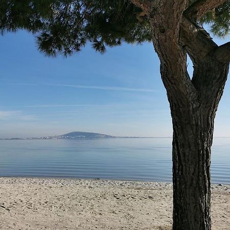 Meze, Charmant Petit Studio Proche Port Εξωτερικό φωτογραφία