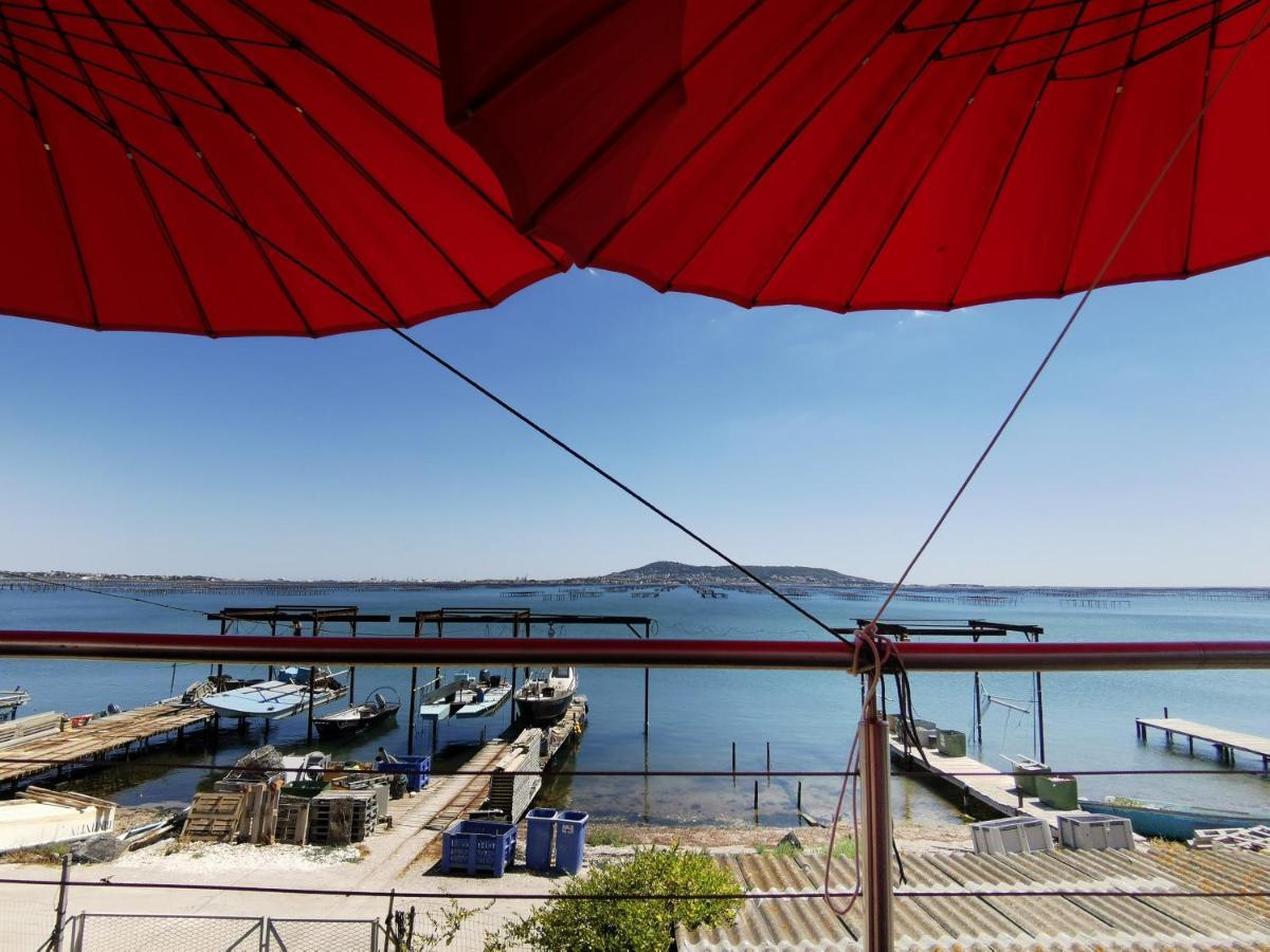 Meze, Charmant Petit Studio Proche Port Εξωτερικό φωτογραφία