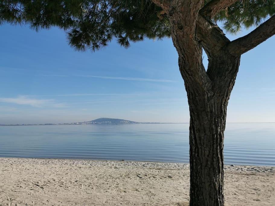 Meze, Charmant Petit Studio Proche Port Εξωτερικό φωτογραφία